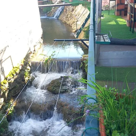 Dois Amigos- Casa Amazonia Pt Cernache (Coimbra)