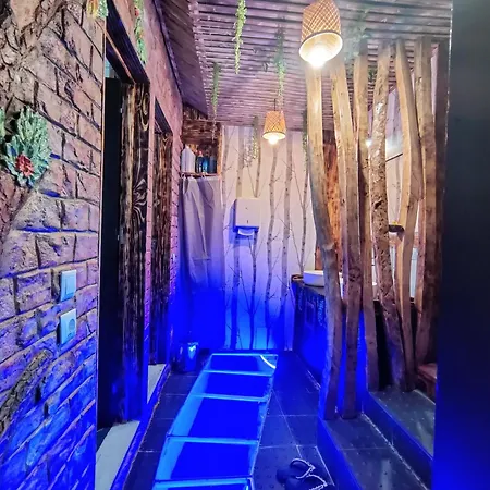 Dois Amigos- Casa Amazonia Pt Cernache (Coimbra)