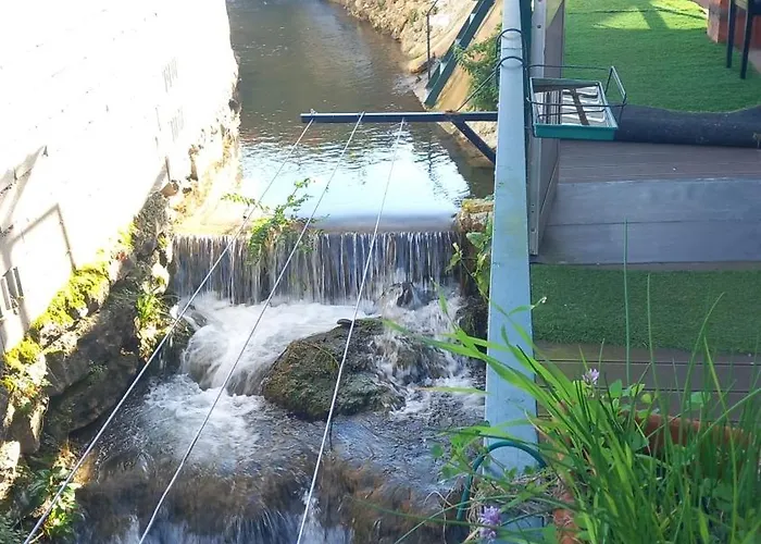 Dois Amigos- Casa Amazonia Pt Cernache (Coimbra)