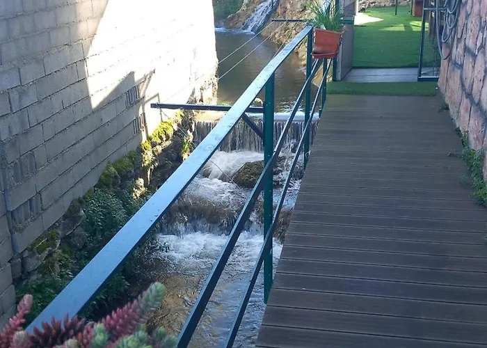 Dois Amigos- Casa Amazonia Pt *