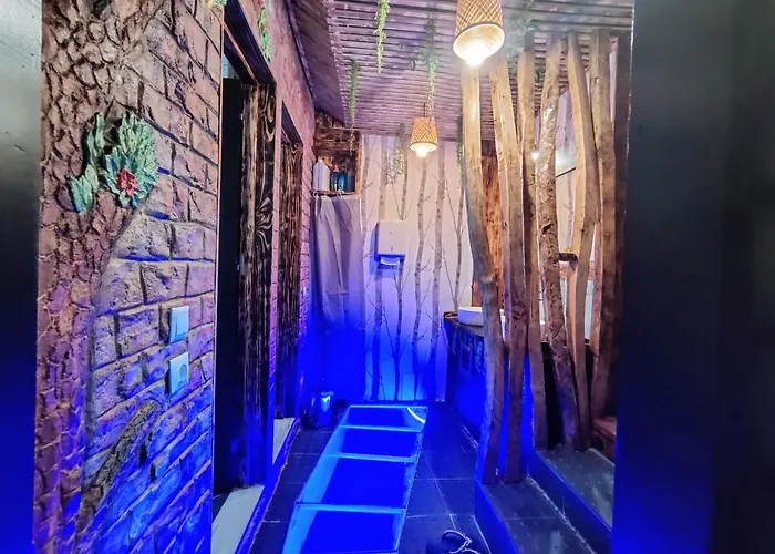 Dois Amigos- Casa Amazonia Pt Cernache (Coimbra)