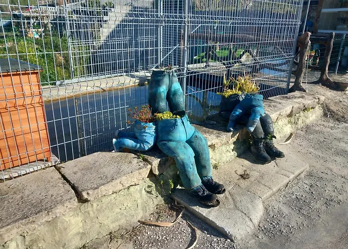 Dois Amigos- Casa Amazonia Pt *